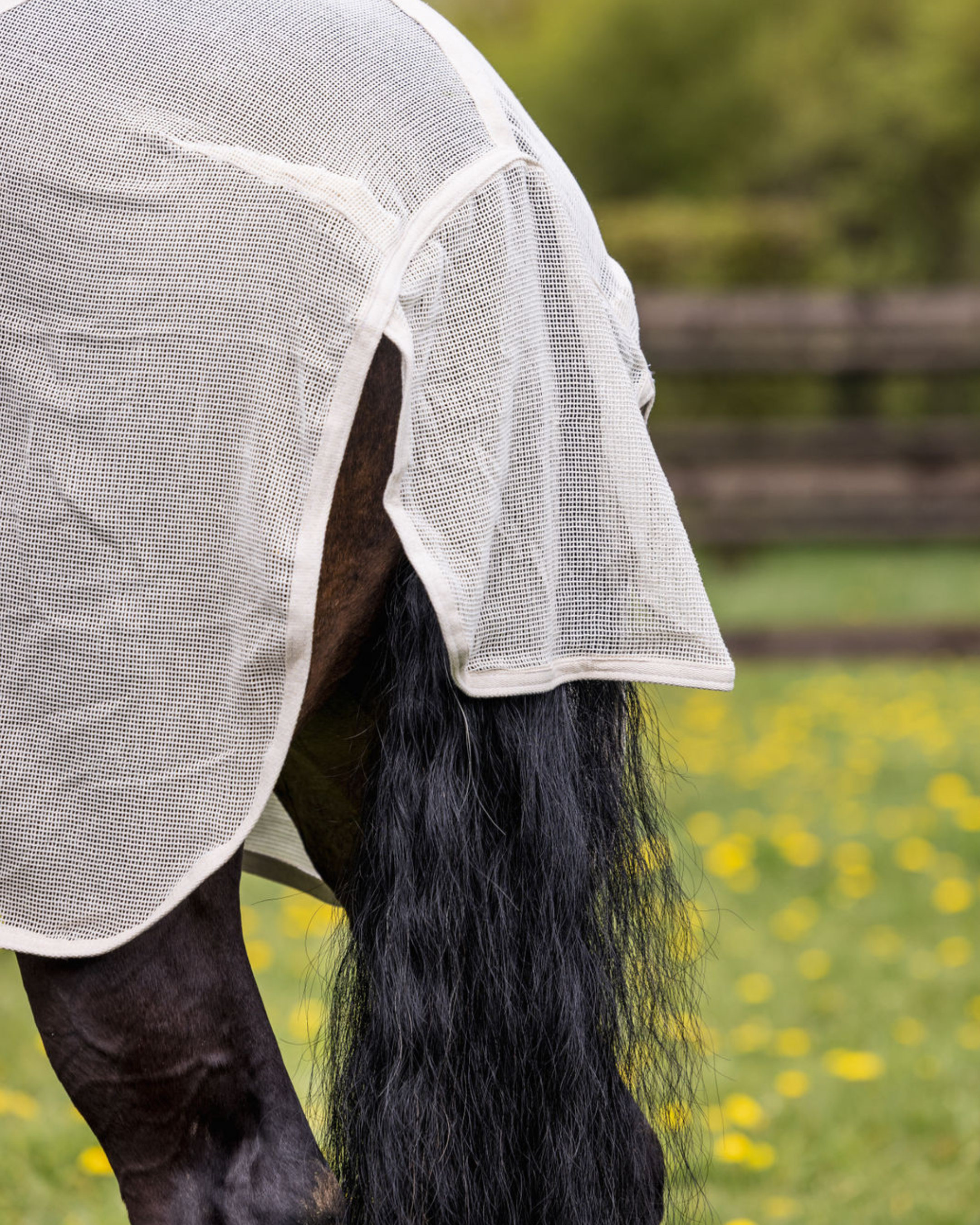 Ausreit Fliegendecke aus Baumwolle