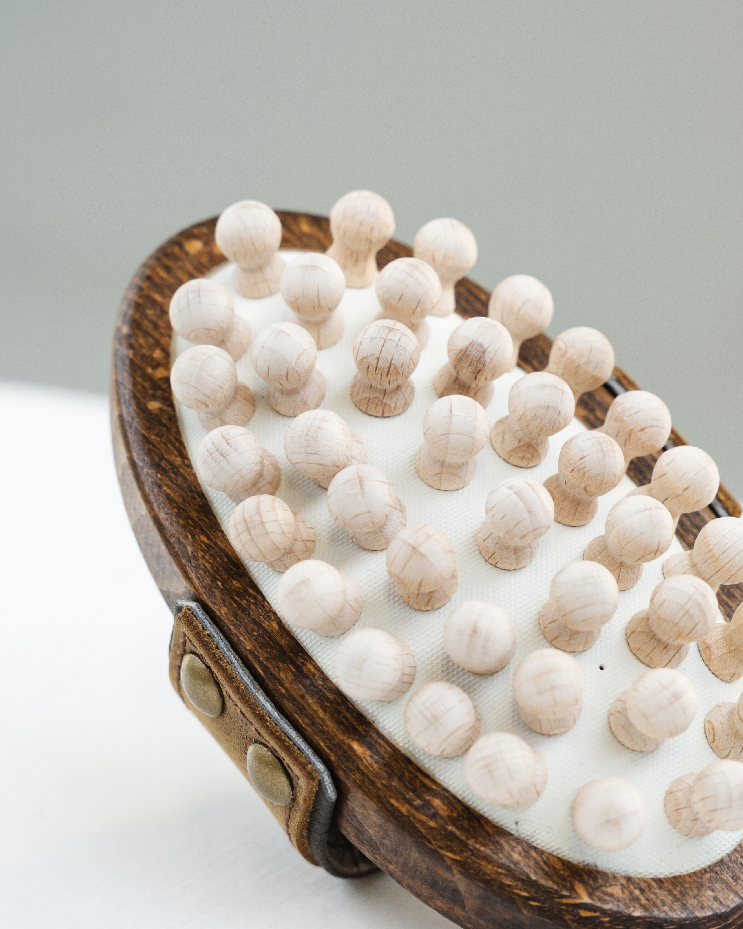 Horse brush set all-rounder