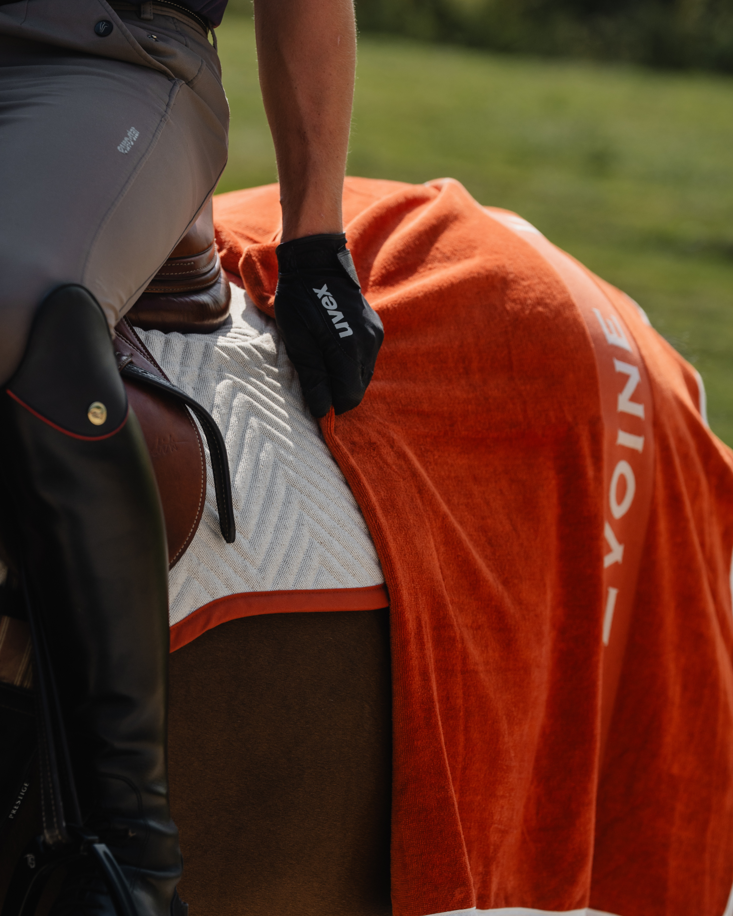 Saddle Pad Dressage Alpaca Fleece