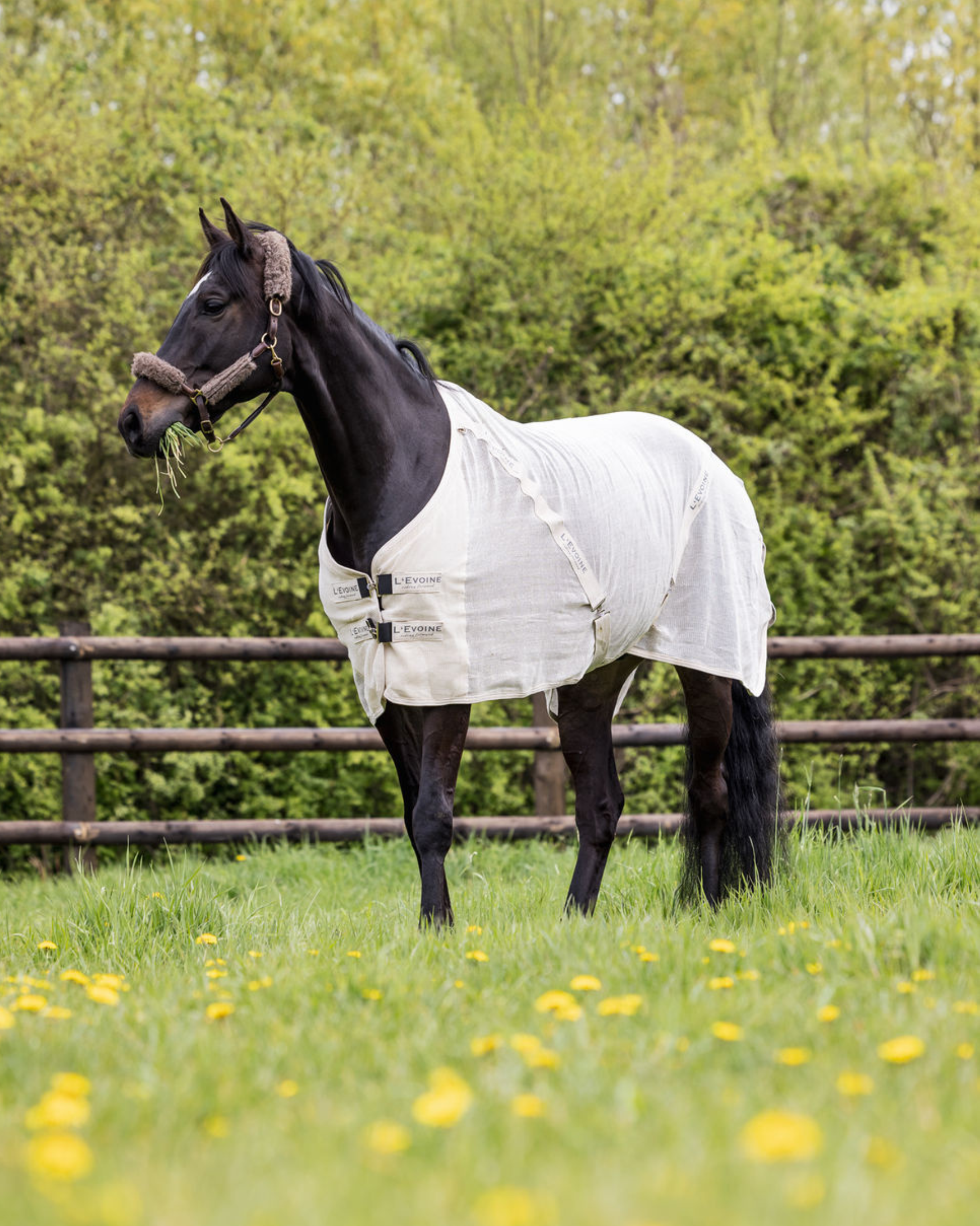 Fliegendecke mit Bauchgurt