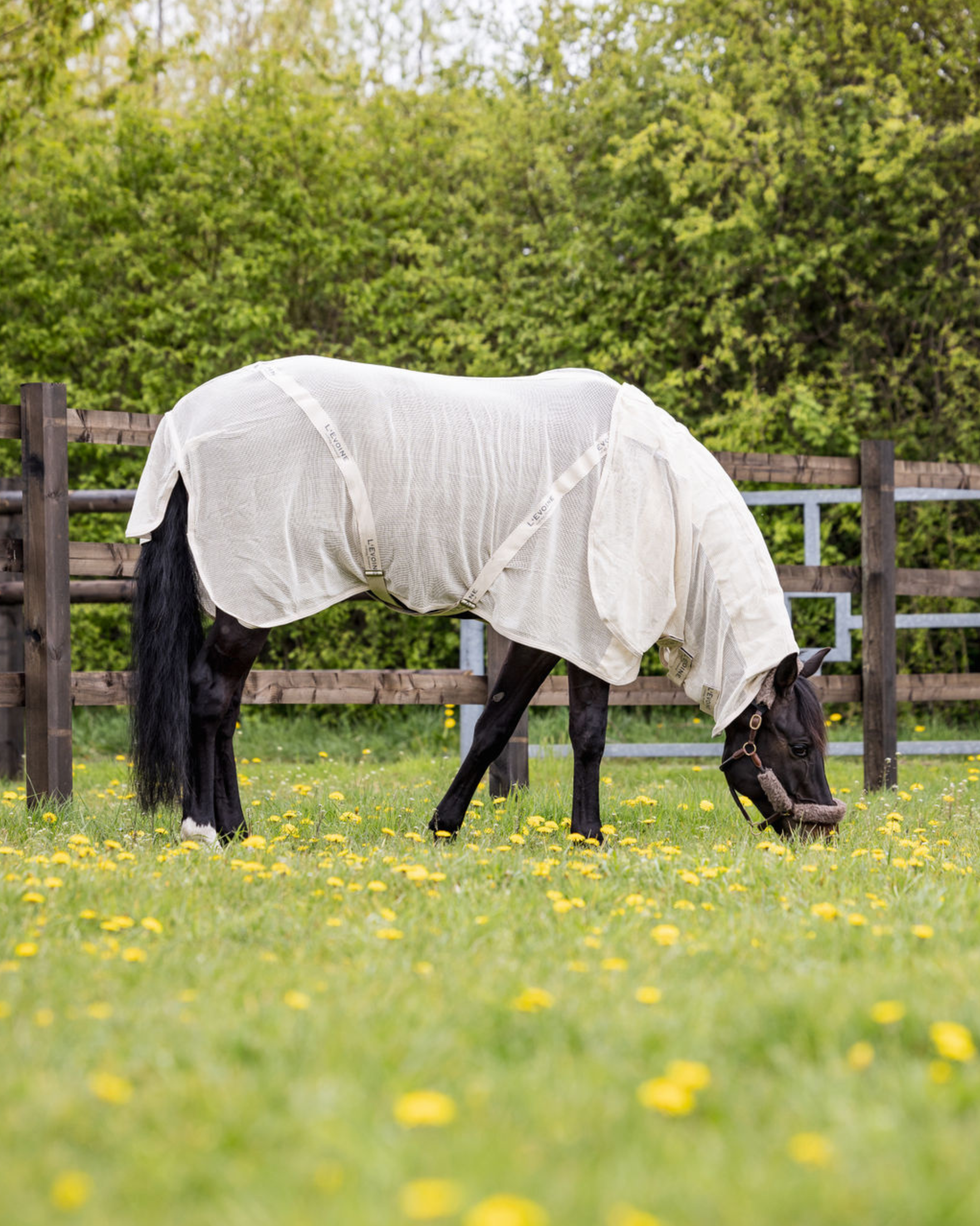 Fliegendecke mit Bauchgurt