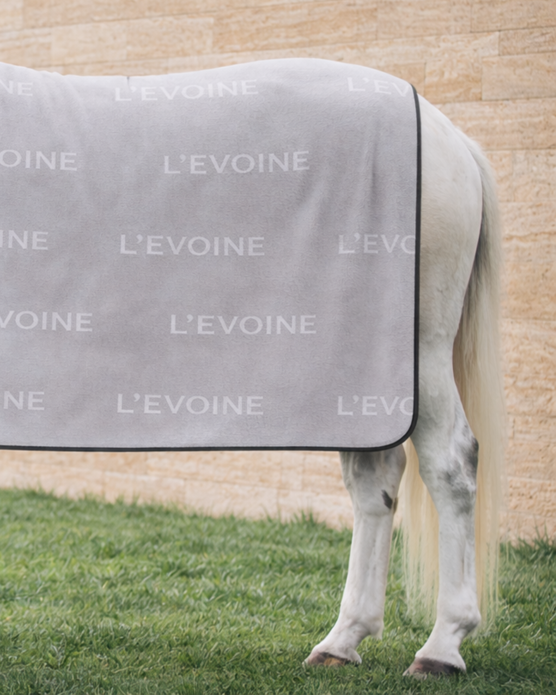 Terry Blanket Set / Pre-Order-Offer