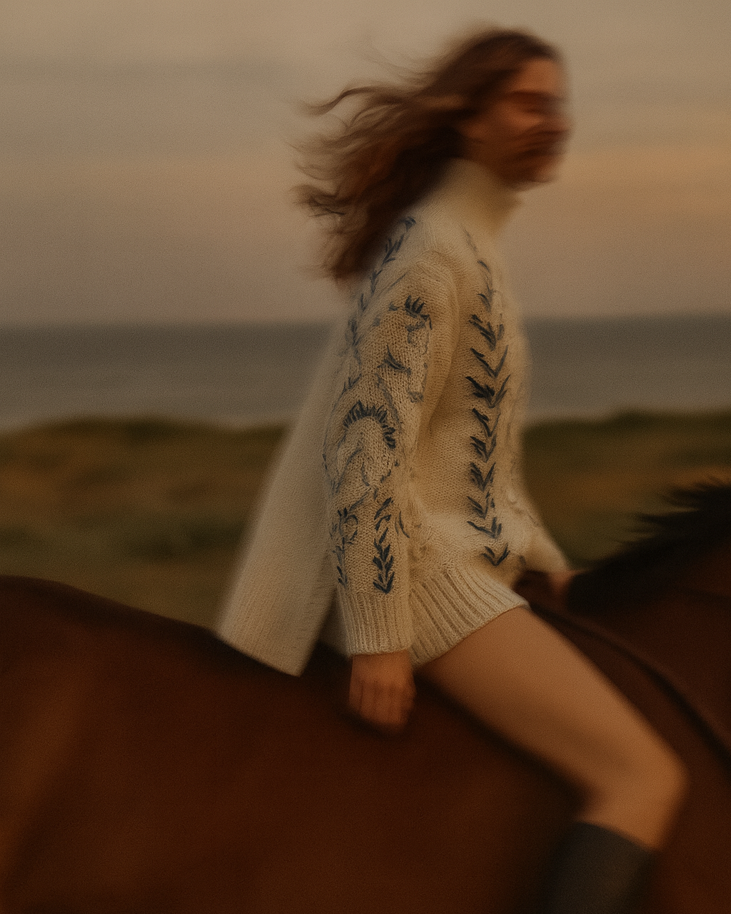 Pullover Wild Grace