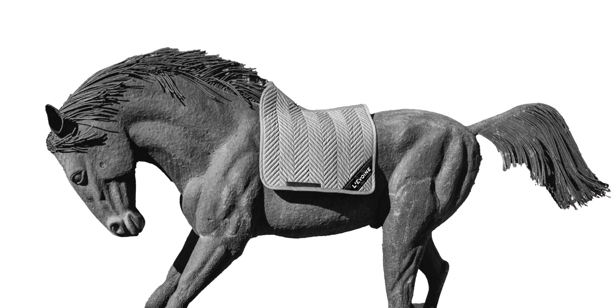 Dressurschabracken - L'Evoine