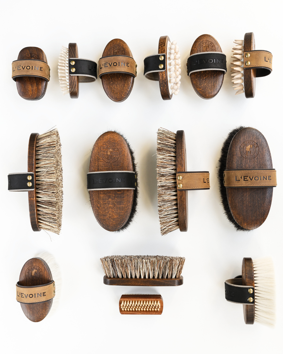 Brosse à Cheval En Bois - Dents Acier Inoxydable - Matériel De Pansage - Neuf