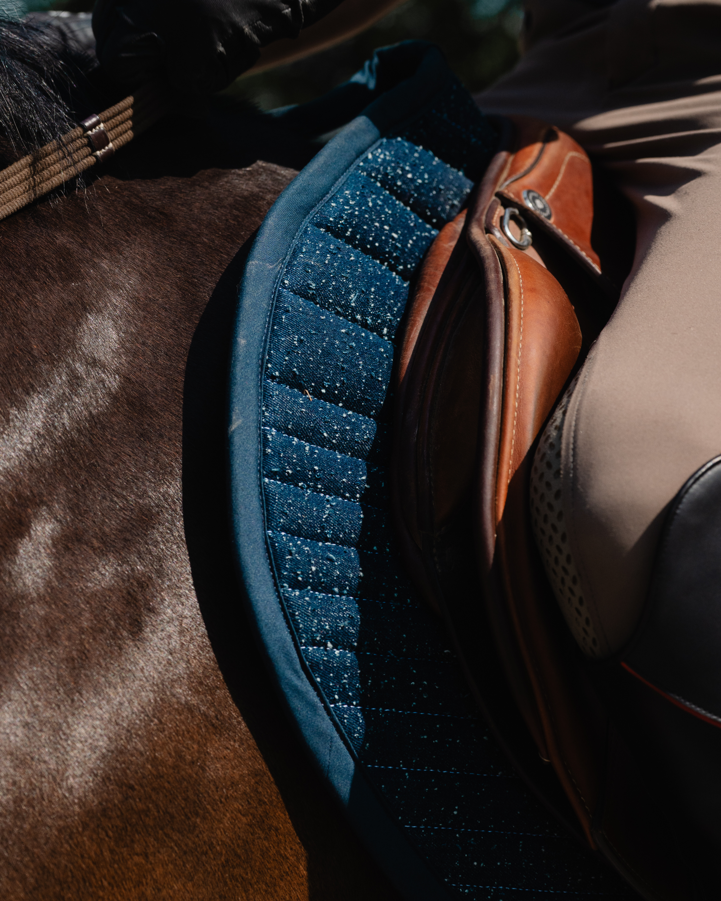 Jumping saddle pad double padding
