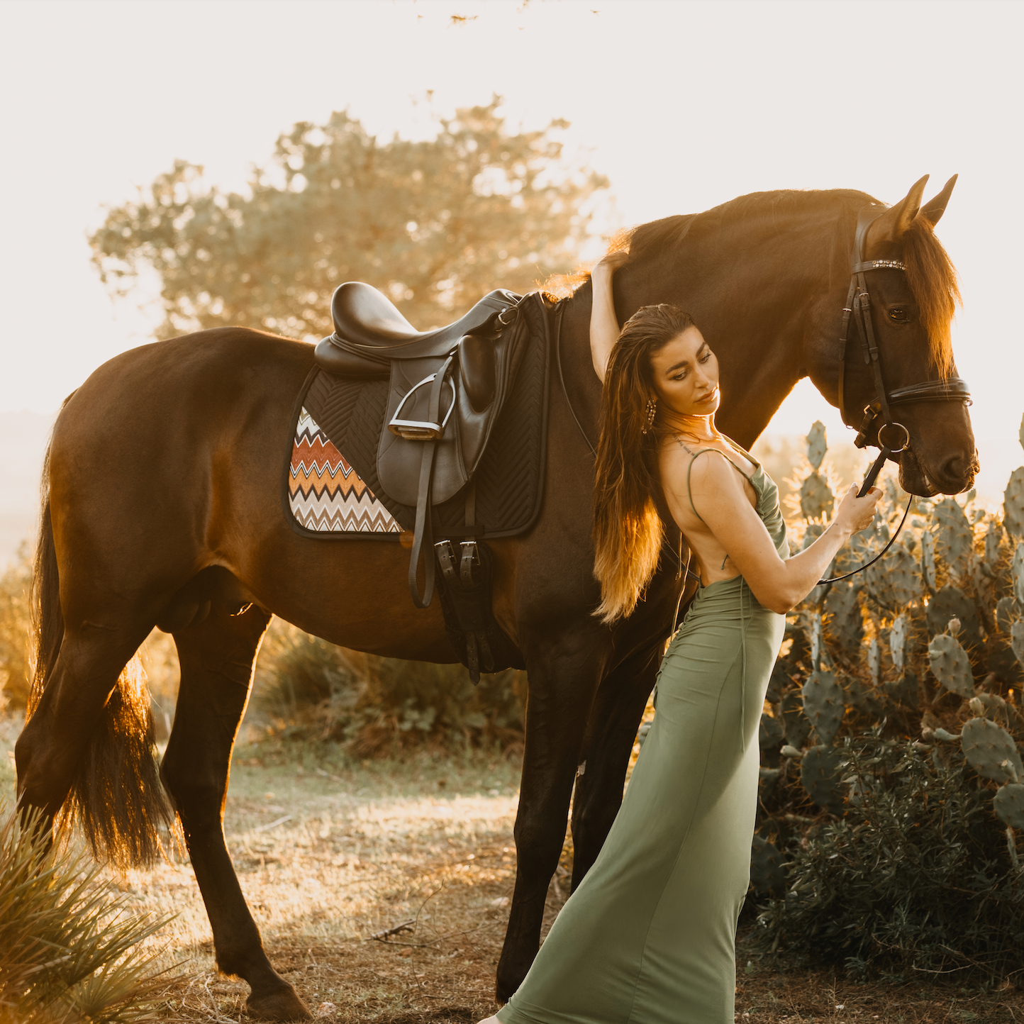 Limited Edition dressage saddle pad