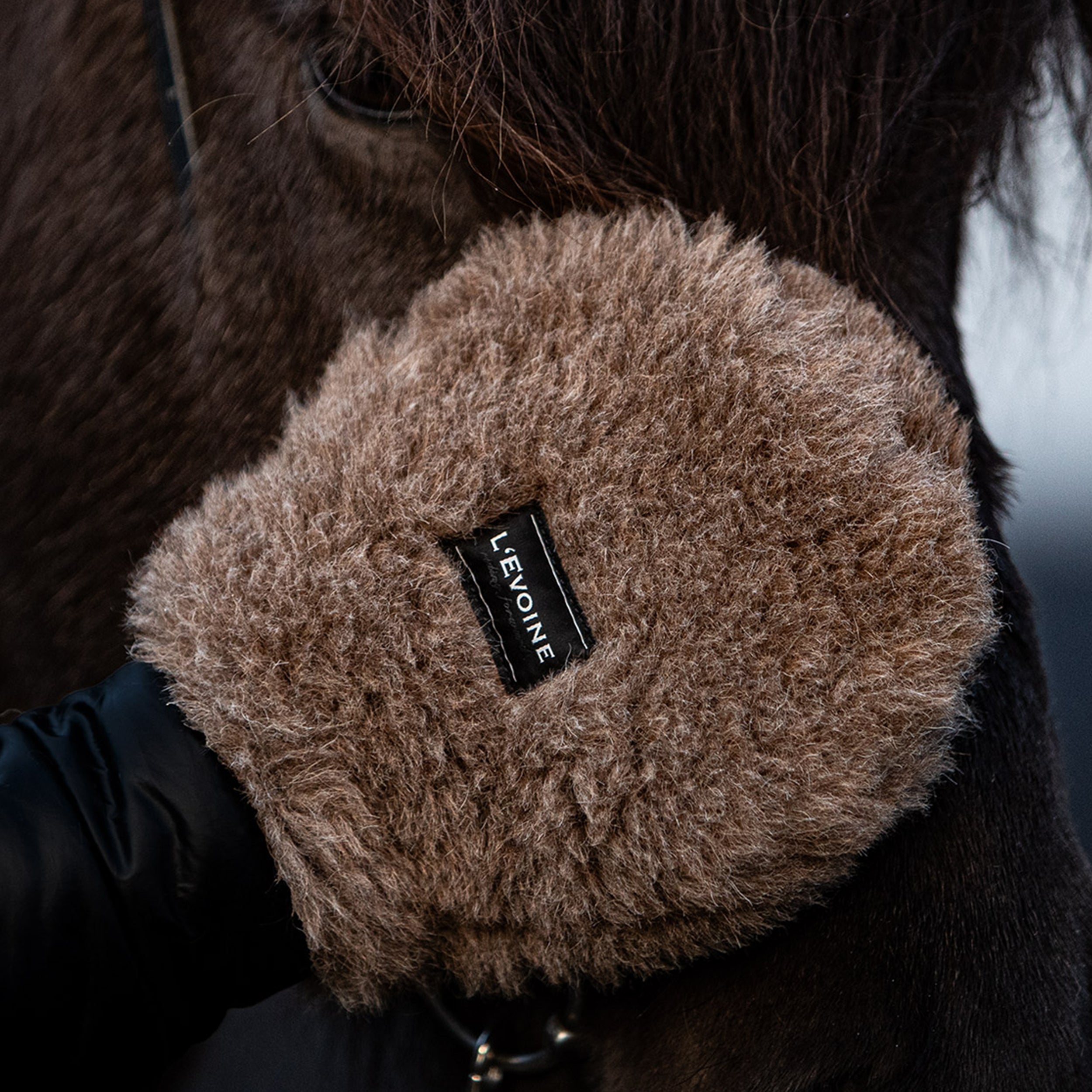 Horse brush set all-rounder