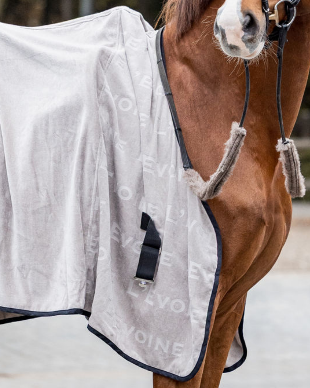 Abschwitzdecke Baumwolle Frottee grau L'Evoine