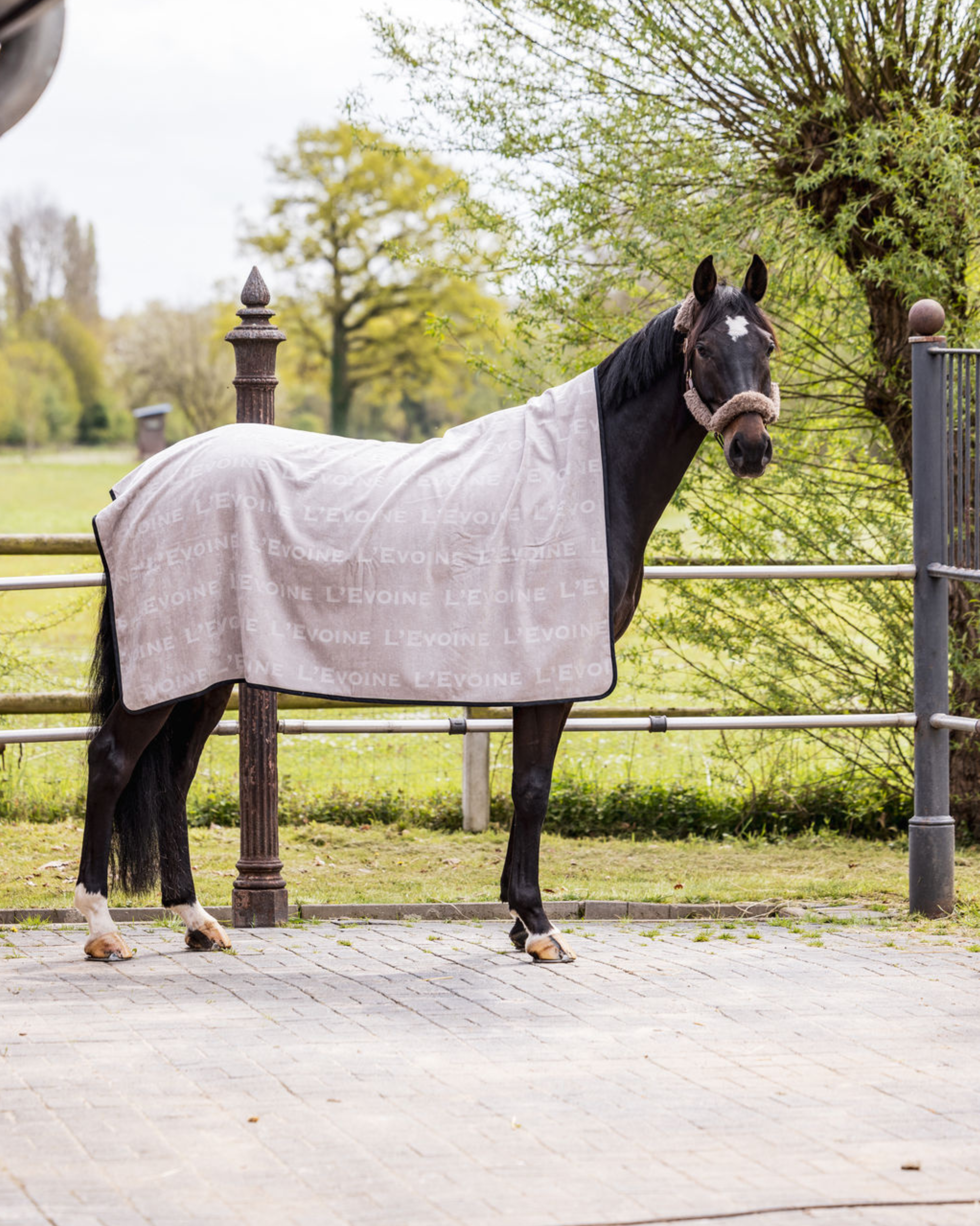 Abschwitzdecke Le Bain gris perle