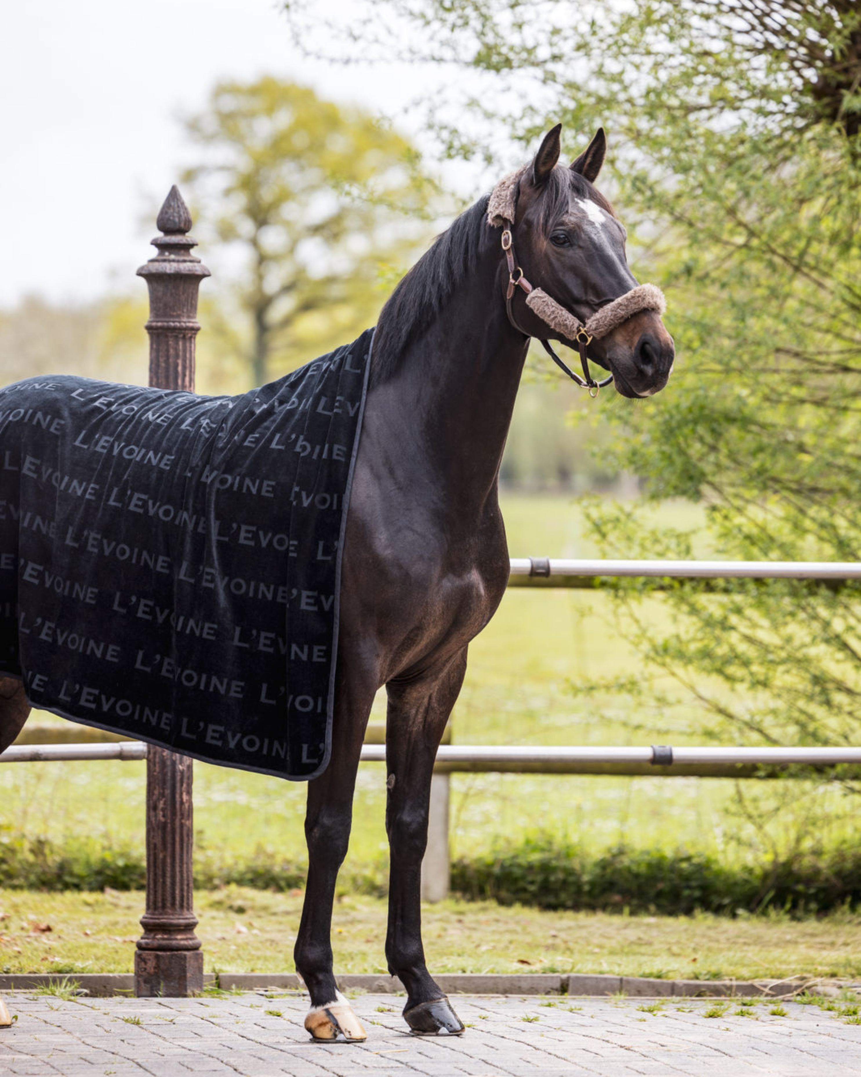 Terry Blanket Set noir