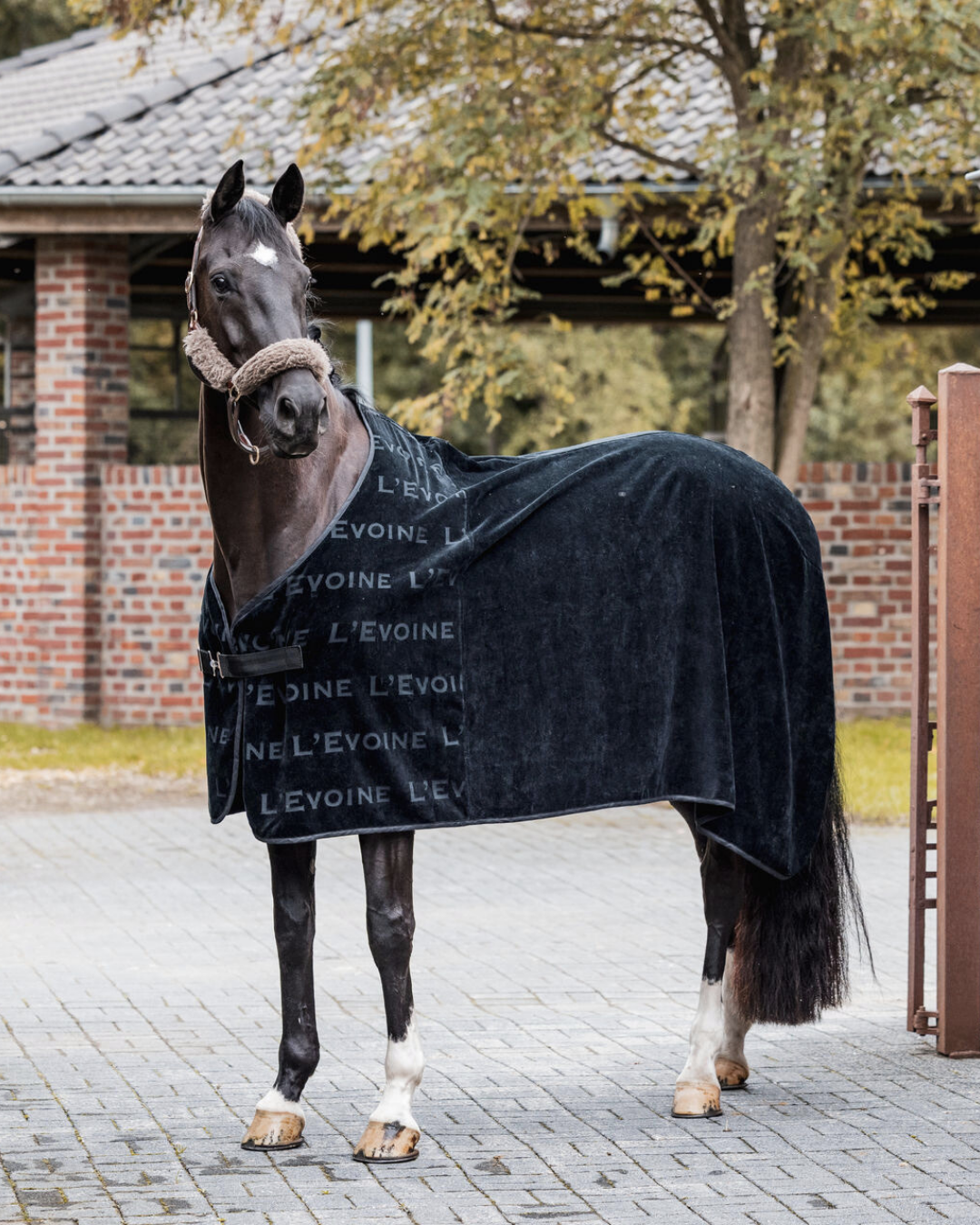 Abschwitzdecke L'Evoine schwarz Baumwolle