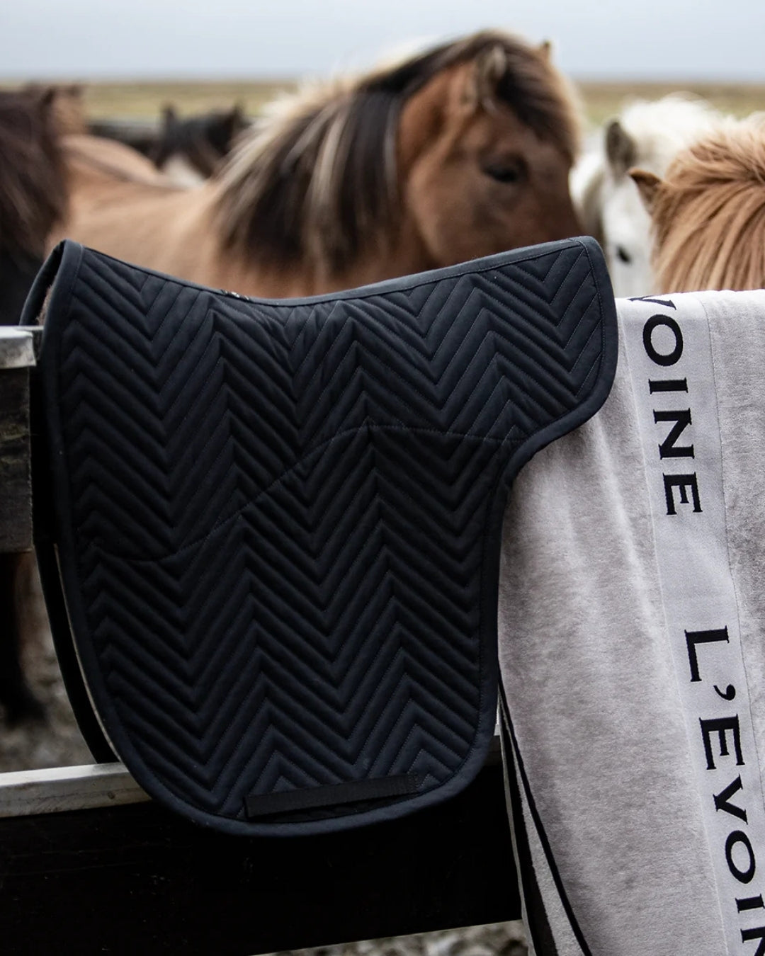 Saddlepad Alpacafleece Icelandic Horse