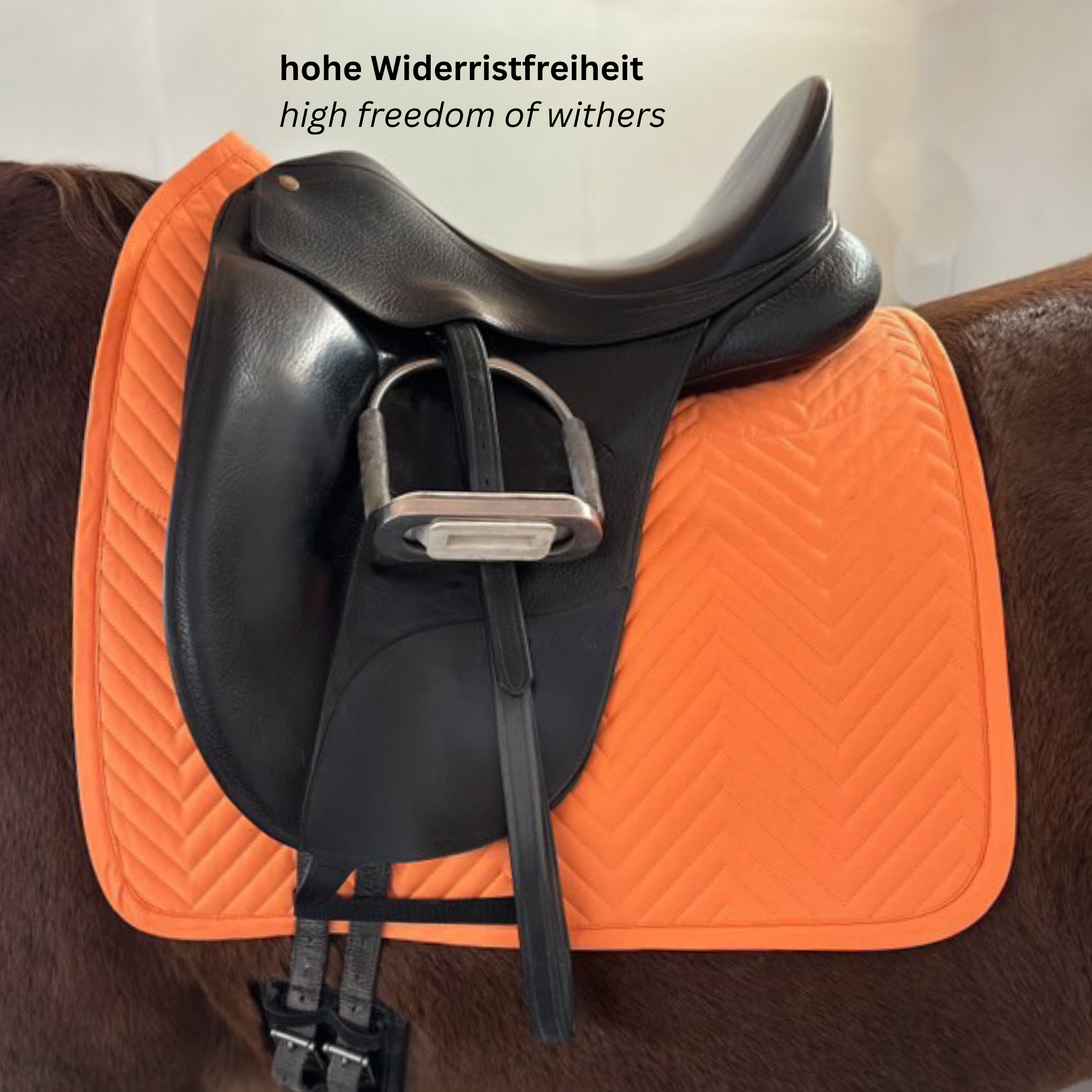 saddle pad dressage orange