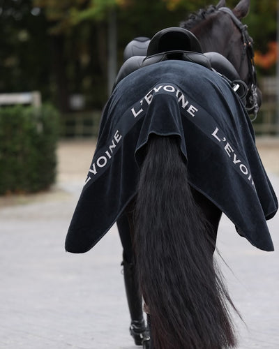 Abschwitzdecke schwarz Baumwolle Frottee